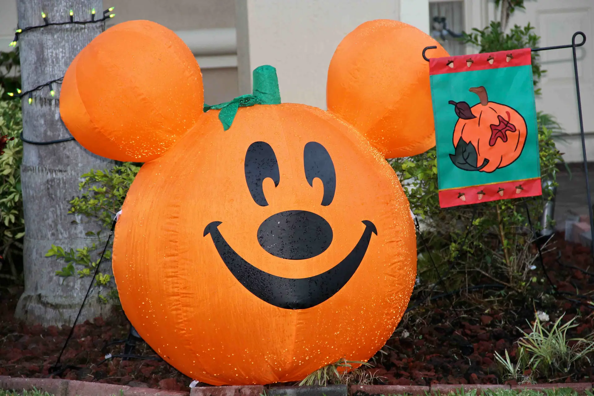 Halloween Safety Tips