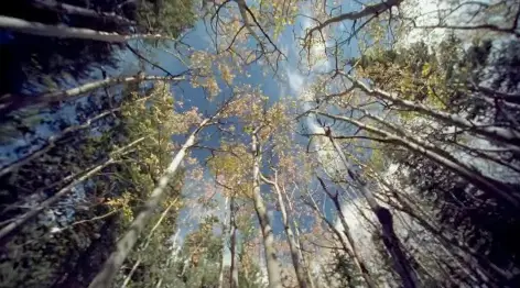 National Park Service