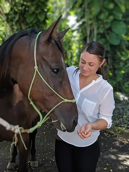 Operation Sacred Trust Horse and Care Specialist
